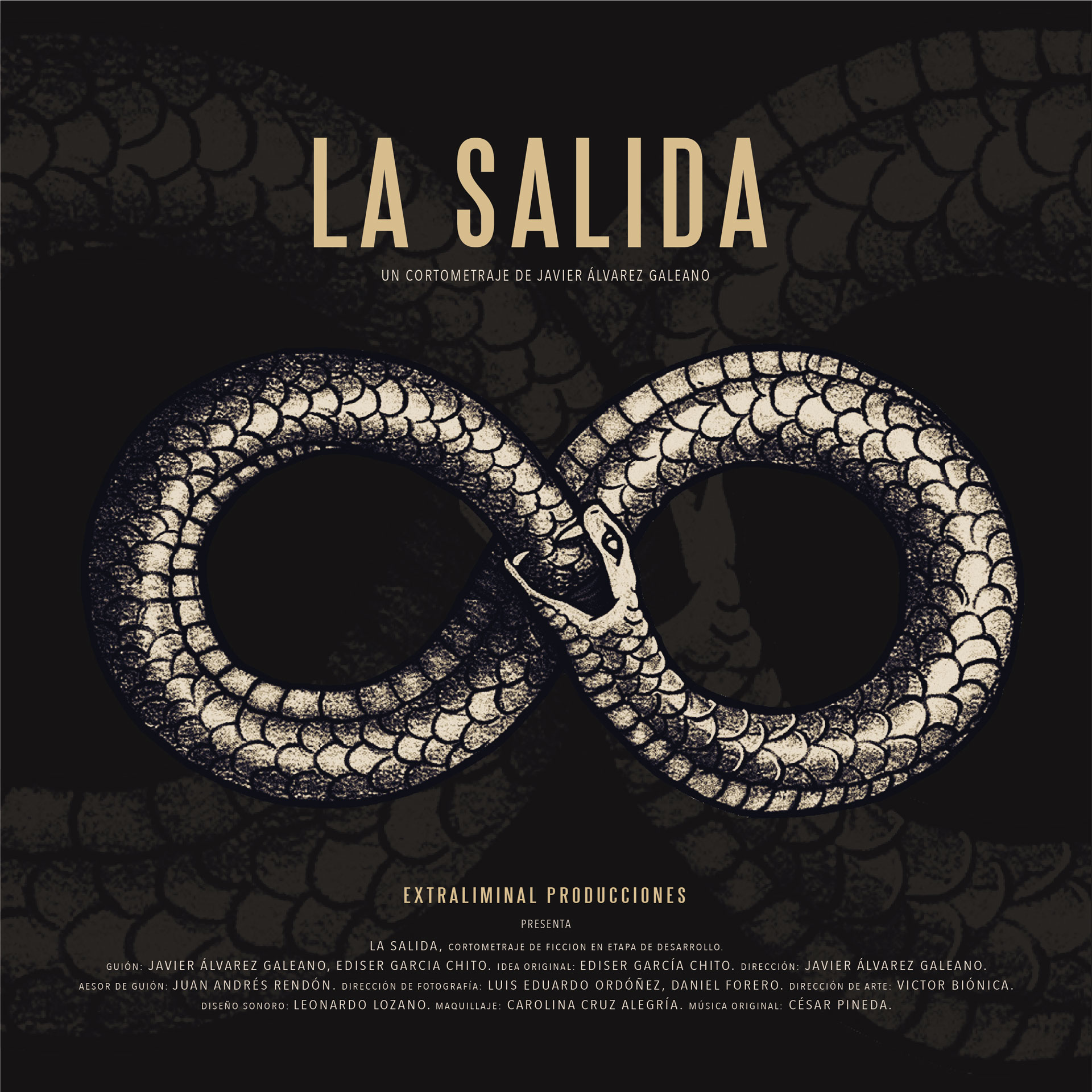 Portada Desarrollo La Salida.